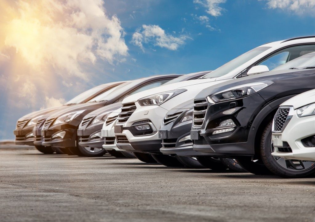 Fleet of cars available for renting