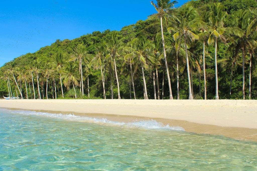 a sandbar