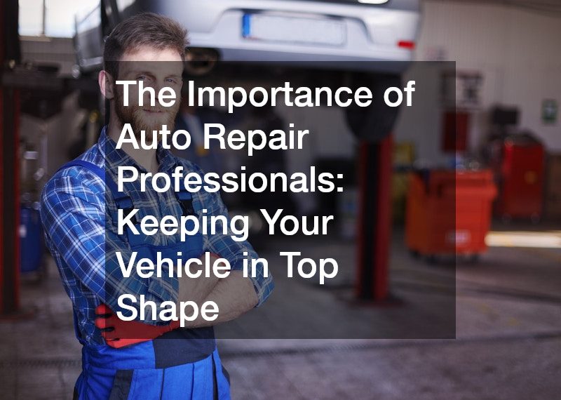 The Importance of Auto Repair Professionals Keeping Your Vehicle in Top Shape